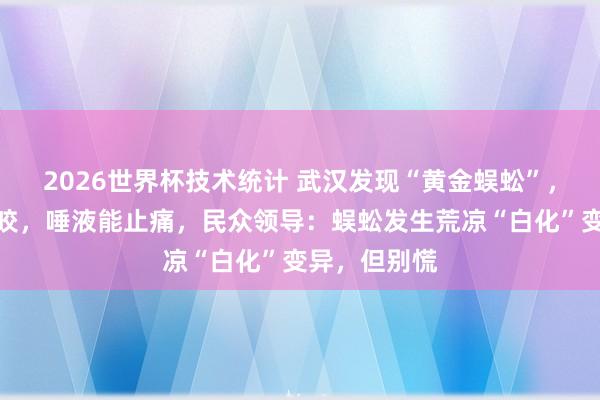 2026世界杯技术统计 武汉发现“黄金蜈蚣”,记者亲测被咬,唾液能止痛,民众领导:蜈蚣发生荒凉“白化”变异,但别慌