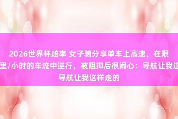 2026世界杯赔率 女子骑分享单车上高速，在限速80公里/小时的车流中逆行，被阻抑后很闹心：导航让我这样走的