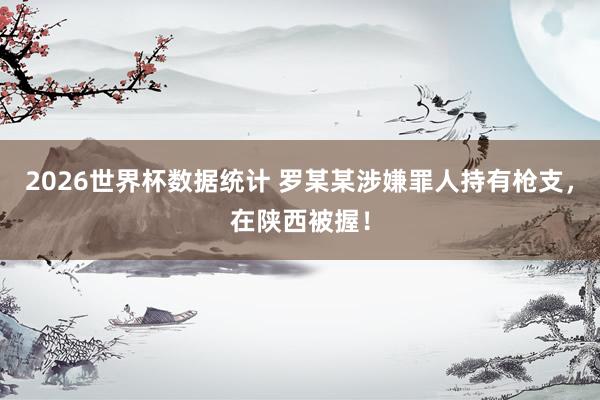 2026世界杯数据统计 罗某某涉嫌罪人持有枪支,在陕西被握!
