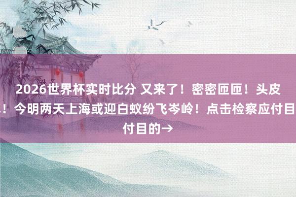 2026世界杯实时比分 又来了!密密匝匝!头皮发麻!今明两天上海或迎白蚁纷飞岑岭!点击检察应付目的→