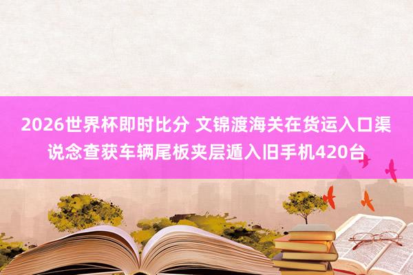 2026世界杯即时比分 文锦渡海关在货运入口渠说念查获车辆尾板夹层遁入旧手机420台