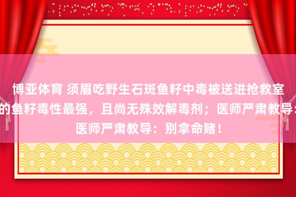 博亚体育 须眉吃野生石斑鱼籽中毒被送进抢救室,该鱼进修的鱼籽毒性最强,且尚无殊效解毒剂;医师严肃教导:别拿命赌!
