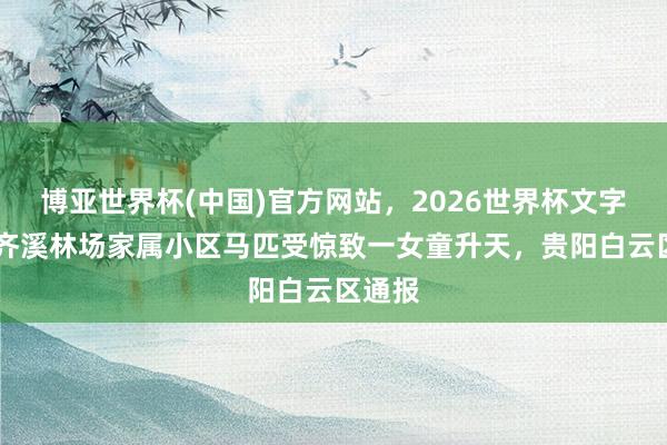 博亚世界杯(中国)官方网站,2026世界杯文字直播 齐溪林场家属小区马匹受惊致一女童升天,贵阳白云区通报