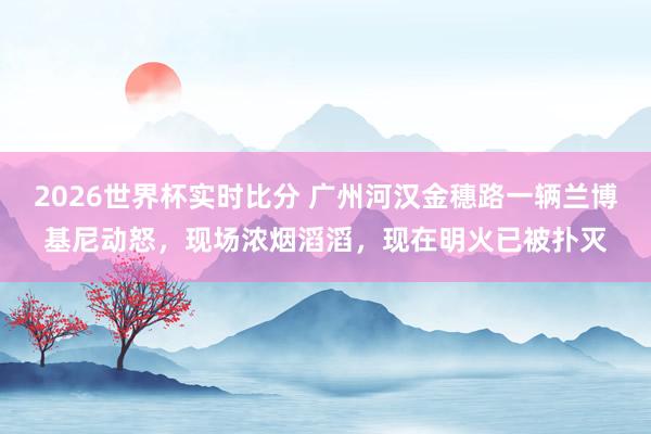 2026世界杯实时比分 广州河汉金穗路一辆兰博基尼动怒，现场浓烟滔滔，现在明火已被扑灭