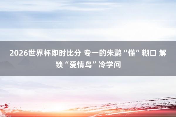 2026世界杯即时比分 专一的朱鹮“懂”糊口 解锁“爱情鸟”冷学问