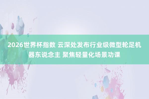 2026世界杯指数 云深处发布行业级微型轮足机器东说念主 聚焦轻量化场景功课