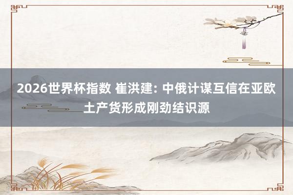 2026世界杯指数 崔洪建: 中俄计谋互信在亚欧土产货形成刚劲结识源
