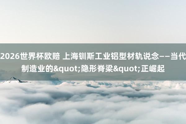 2026世界杯欧赔 上海钏斯工业铝型材轨说念——当代制造业的"隐形脊梁"正崛起