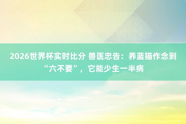 2026世界杯实时比分 兽医忠告:养蓝猫作念到“六不要”,它能少生一半病