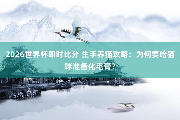 2026世界杯即时比分 生手养猫攻略:为何要给猫咪准备化毛膏?