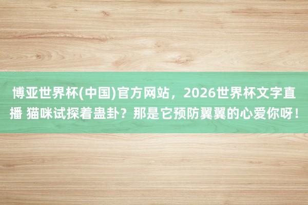 博亚世界杯(中国)官方网站,2026世界杯文字直播 猫咪试探着蛊卦?那是它预防翼翼的心爱你呀!