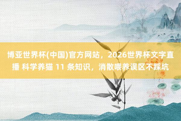 博亚世界杯(中国)官方网站,2026世界杯文字直播 科学养猫 11 条知识,消散喂养误区不踩坑