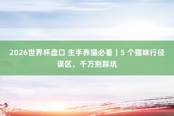 2026世界杯盘口 生手养猫必看|5 个猫咪行径误区,千万别踩坑