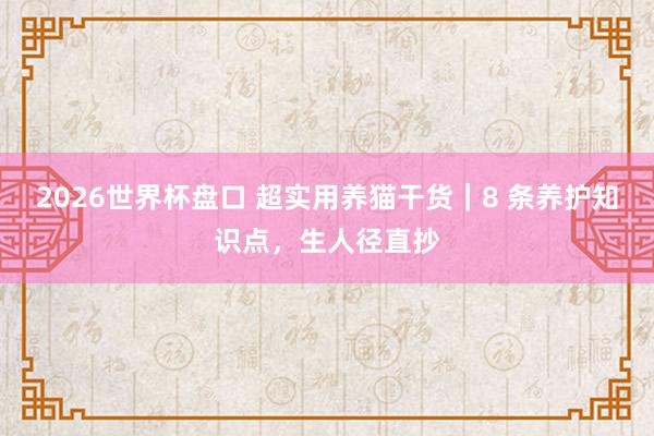 2026世界杯盘口 超实用养猫干货|8 条养护知识点,生人径直抄