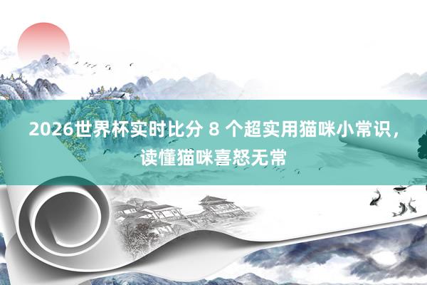 2026世界杯实时比分 8 个超实用猫咪小常识,读懂猫咪喜怒无常