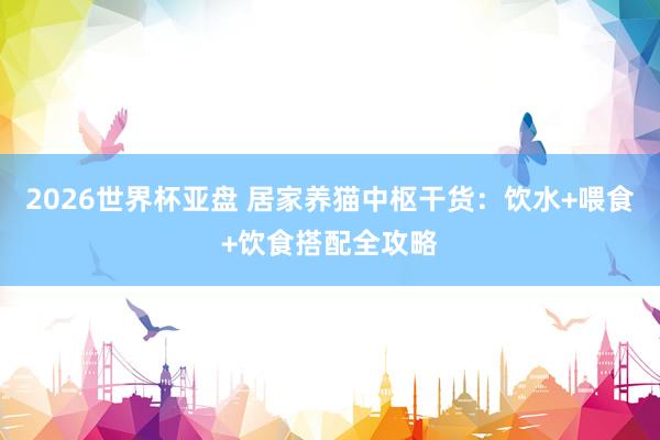 2026世界杯亚盘 居家养猫中枢干货:饮水+喂食+饮食搭配全攻略