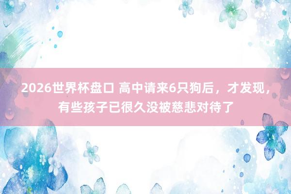 2026世界杯盘口 高中请来6只狗后,才发现,有些孩子已很久没被慈悲对待了