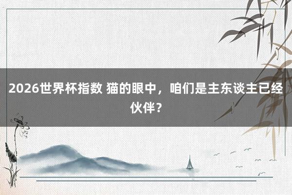 2026世界杯指数 猫的眼中,咱们是主东谈主已经伙伴?