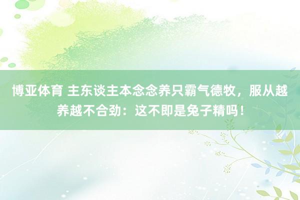 博亚体育 主东谈主本念念养只霸气德牧,服从越养越不合劲:这不即是兔子精吗!