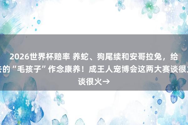 2026世界杯赔率 养蛇、狗尾续和安哥拉兔,给老去的“毛孩子”作念康养!成王人宠博会这两大赛谈很火→