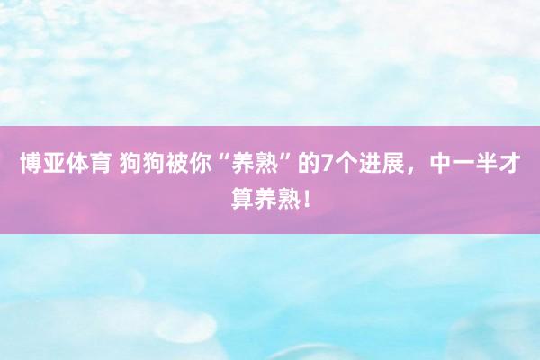 博亚体育 狗狗被你“养熟”的7个进展,中一半才算养熟!
