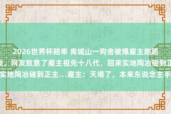 2026世界杯赔率 青城山一狗舍被爆雇主跑路,毛孩子饿到开动吃同类,网友致意了雇主祖先十八代,回来实地陶冶碰到正主…雇主:天塌了,本来东说念主手不够就烦…