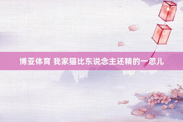 博亚体育 我家猫比东说念主还精的一忽儿