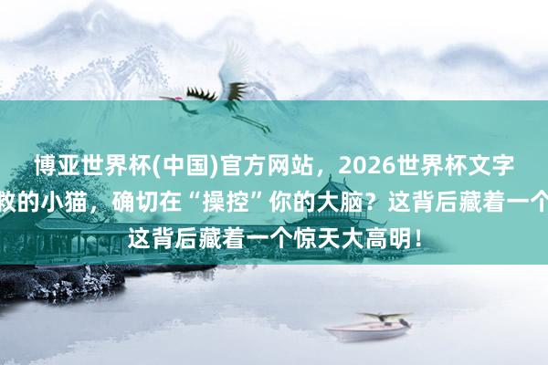 博亚世界杯(中国)官方网站,2026世界杯文字直播 你唾手救的小猫,确切在“操控”你的大脑?这背后藏着一个惊天大高明!