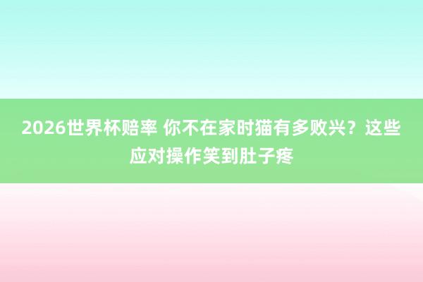 2026世界杯赔率 你不在家时猫有多败兴?这些应对操作笑到肚子疼