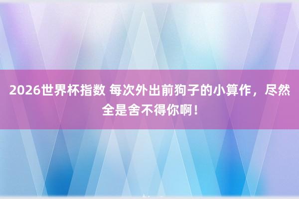 2026世界杯指数 每次外出前狗子的小算作,尽然全是舍不得你啊!