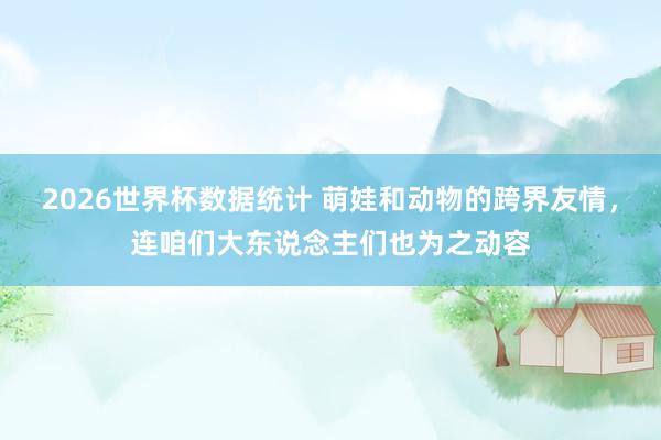2026世界杯数据统计 萌娃和动物的跨界友情，连咱们大东说念主们也为之动容