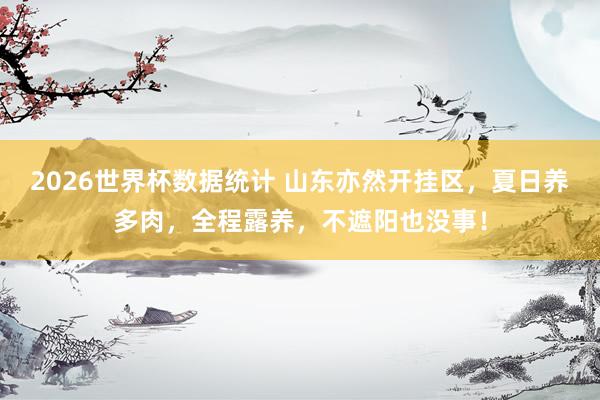 2026世界杯数据统计 山东亦然开挂区,夏日养多肉,全程露养,不遮阳也没事!