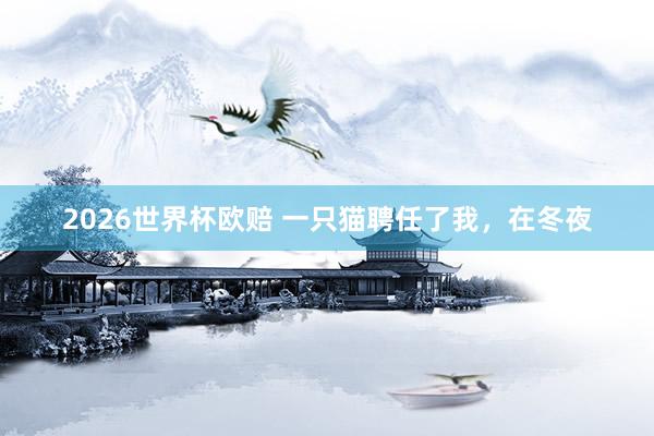 2026世界杯欧赔 一只猫聘任了我,在冬夜