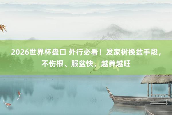 2026世界杯盘口 外行必看！发家树换盆手段，不伤根、服盆快，越养越旺