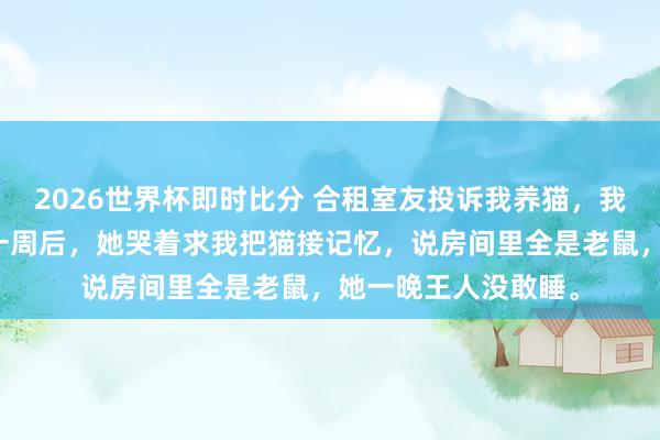 2026世界杯即时比分 合租室友投诉我养猫,我今日就把猫送走。一周后,她哭着求我把猫接记忆,说房间里全是老鼠,她一晚王人没敢睡。