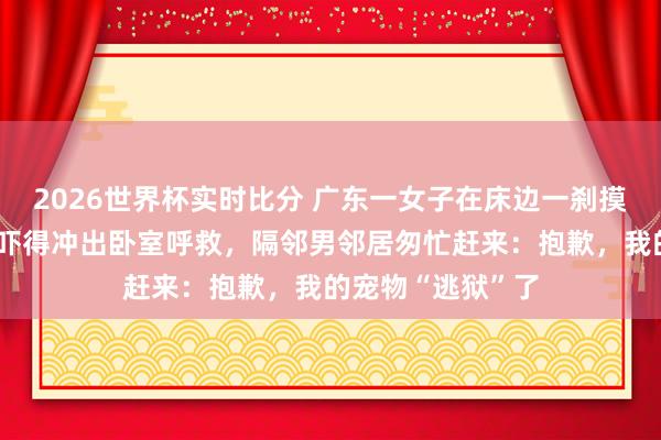 2026世界杯实时比分 广东一女子在床边一刹摸到金黄色长蛇,吓得冲出卧室呼救,隔邻男邻居匆忙赶来:抱歉,我的宠物“逃狱”了