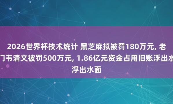 2026世界杯技术统计 黑芝麻拟被罚180万元, 老掌门韦清文被罚500万元, 1.86亿元资金占用旧账浮出水面