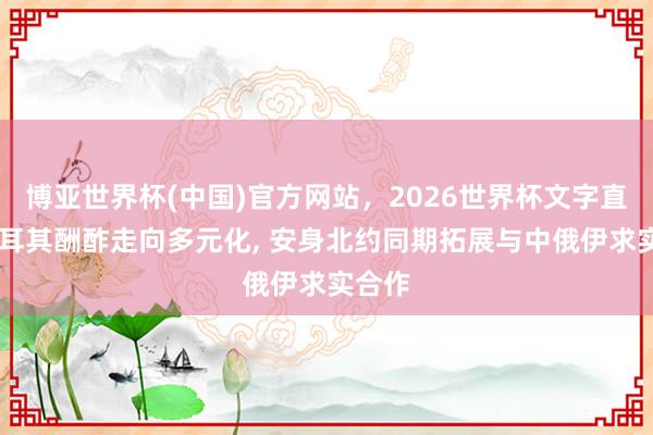 博亚世界杯(中国)官方网站,2026世界杯文字直播 土耳其酬酢走向多元化, 安身北约同期拓展与中俄伊求实合作