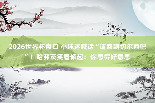 2026世界杯盘口 小球迷喊话“请回到切尔西吧”！哈弗茨笑着修起：你思得好意思