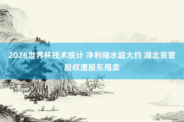 2026世界杯技术统计 净利缩水超大约 湖北资管股权遭股东甩卖