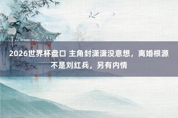 2026世界杯盘口 主角封潇潇没意想,离婚根源不是刘红兵,另有内情