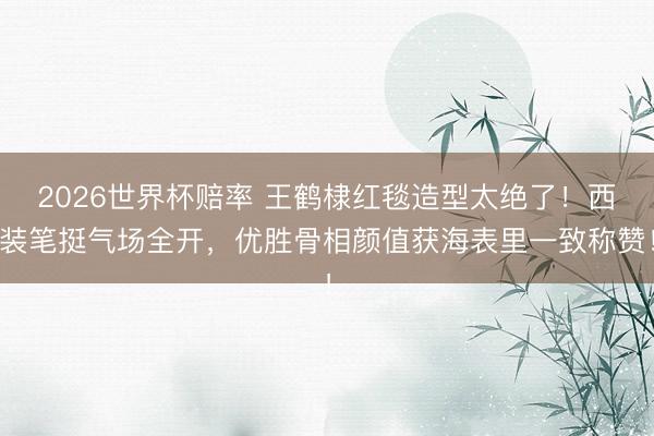 2026世界杯赔率 王鹤棣红毯造型太绝了！西装笔挺气场全开，优胜骨相颜值获海表里一致称赞！