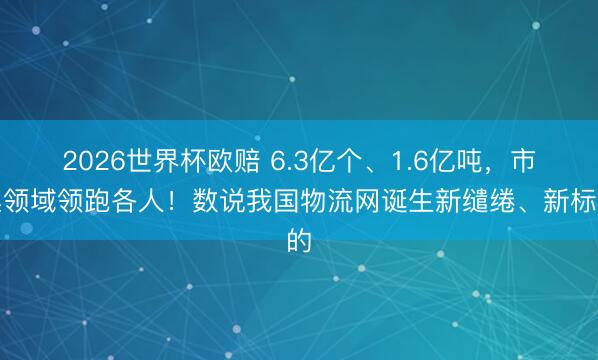 2026世界杯欧赔 6.3亿个、1.6亿吨,市集领域领跑各人!数说我国物流网诞生新缱绻、新标的