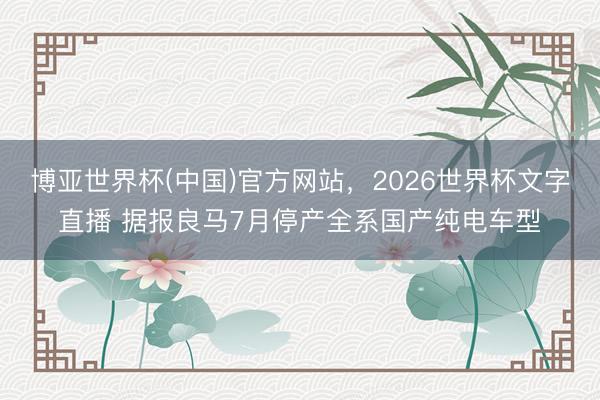 博亚世界杯(中国)官方网站,2026世界杯文字直播 据报良马7月停产全系国产纯电车型
