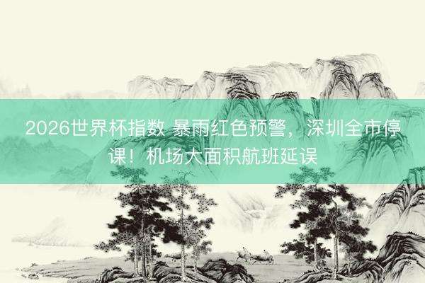 2026世界杯指数 暴雨红色预警,深圳全市停课!机场大面积航班延误